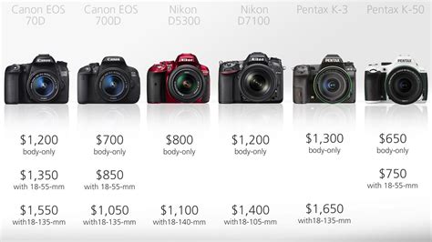 2013 Mid-Range DSLR Comparison Guide