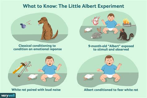 The Little Albert Experiment