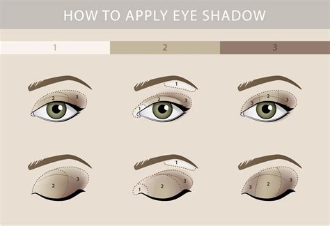 How To Apply Eyeshadow For Beginners: Super Simple Makeup Looks To Try ...