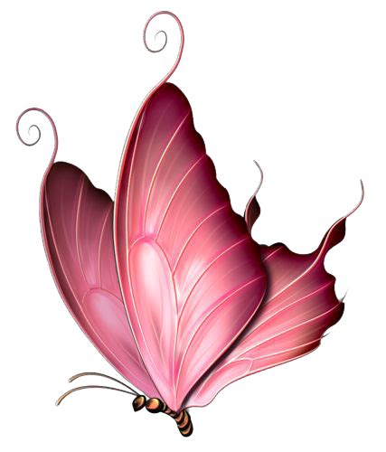 Pink Butterfly Image Transparent HQ PNG Download | FreePNGImg