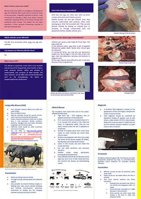 Top 181+ Animal diseases and treatment - Merkantilaklubben.org