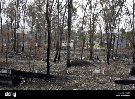 CENTRAL QUEENSLAND AFTER THE FIRES Stock Photo - Alamy