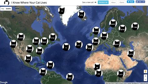 Cat Map Of The World - Map