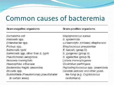 Microbiology review blood