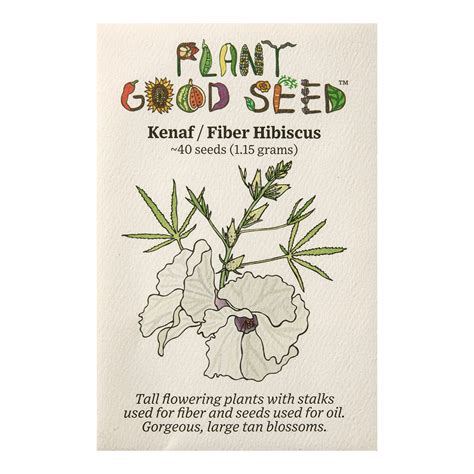 Kenaf Seeds - The Plant Good Seed Company