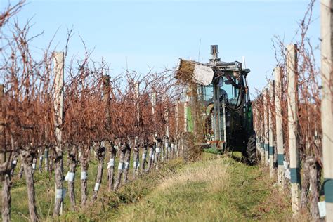 Vineyard Mechanization: What Is It And How Can You Benefit? — Jim's Supply Co.