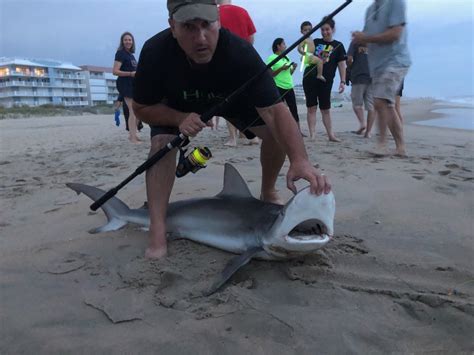 Huge Bull Shark Caught in the Chesapeake Bay - Ocean City MD Fishing