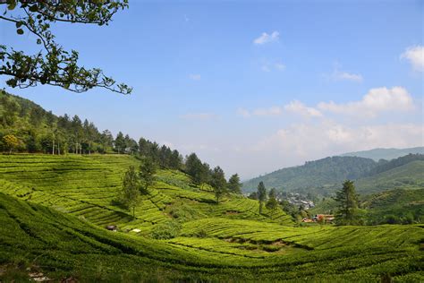 Hiking the Hills Around Bogor - Indonesia Expat