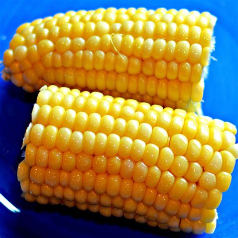 Microwave Corn On The Cob Recipe - newbritawaterchiller