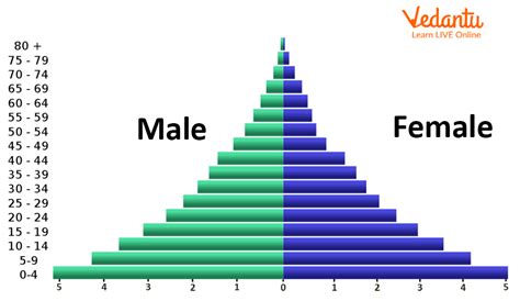 Population Pyramid 2023