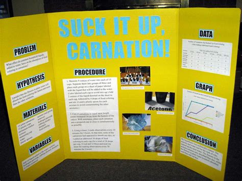 Laurel's science fair display board | My takeaway: shampoo d… | Flickr