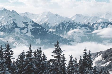 Snow Covered Mountains and Trees in Fog