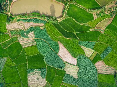 Aerial photography bird-eye view of farm farmland nature landsca by ...