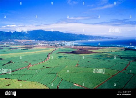 Sugar cane farming, Maui, Hawaii, Aerial View Stock Photo - Alamy