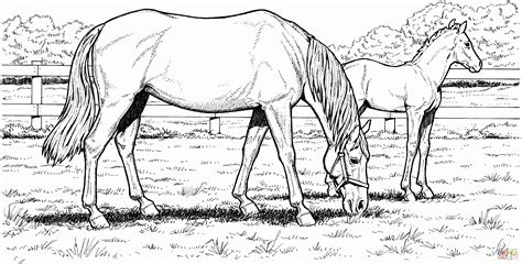 Free Printable Horse Coloring Pages For Adults - Coloring Home