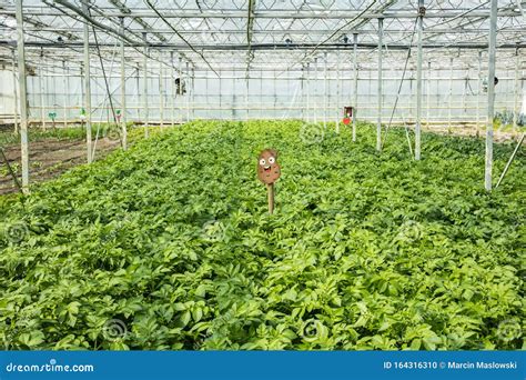 Greenhouse Ecosystem Botanical Garden, Padua, Italy Royalty-Free Stock ...