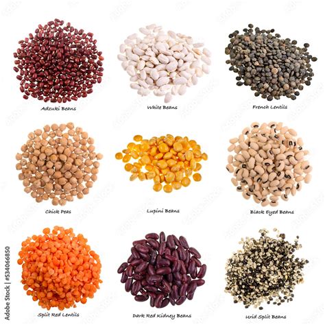 Various Types of Pulses on White Background with Names Stock Photo | Adobe Stock