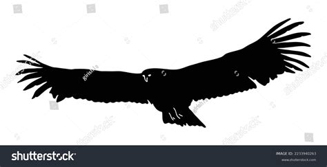 Silhouette Hawk Bird Flying Logo Vector Stock Vector (Royalty Free ...