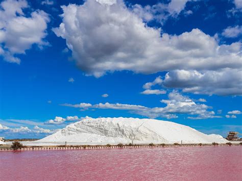 All About the Salt Marshes in Aigues-Mortes • La Comédie de Vanneau