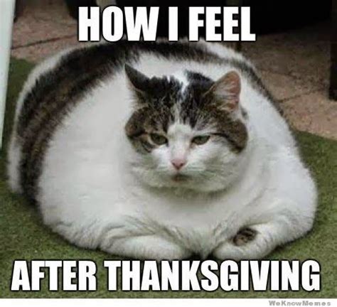 brittanymariepowell: Post Thanksgiving Food Coma | Funny | Pinterest