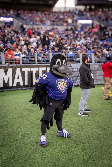 Baltimore Ravens Mascot #BenjaPhoto@Ravens vs @Broncos@NFLDecember 4, 2022#Ravens #Broncos # ...