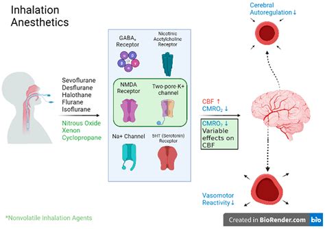 Biomedicines | Free Full-Text | Neurosurgical Anesthesia: Optimizing Outcomes with Agent Selection