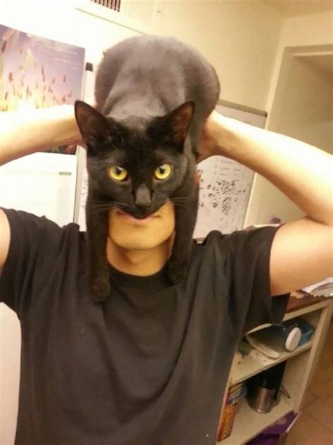 CATMAN: Guy Shows How To Look Like Batman Using Your Cat | Bored Panda