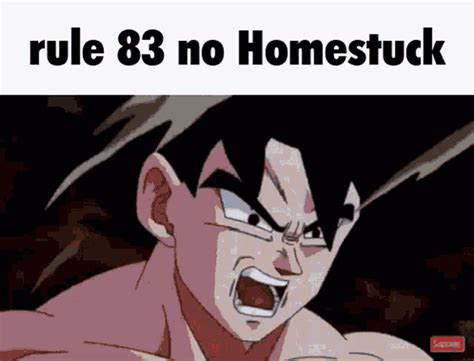 Goku Rules GIF - Goku Rules Homestuck - Discover & Share GIFs