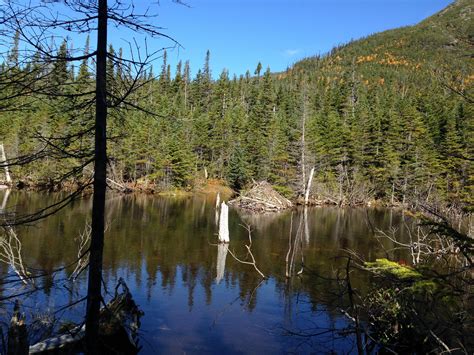 La rivière Matane, axe touristique de la Matanie | Radio-Canada.ca