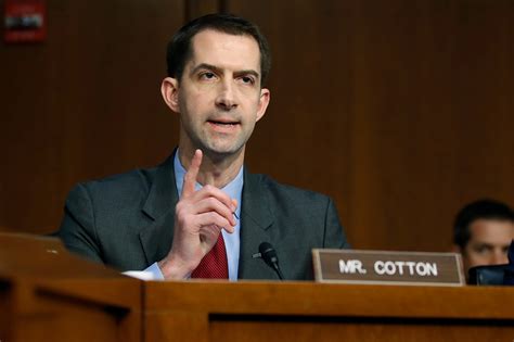 Opinion | Tom Cotton Did Us a Favor by Exposing a Bad Law with a Bad Op-Ed - POLITICO