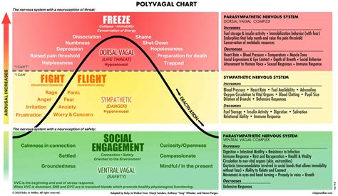 Deb Dana Polyvagal Worksheets