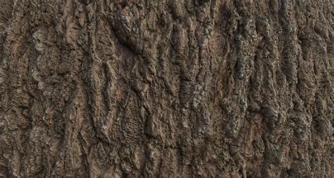 Tree Bark 001 PBR Texture by Radju