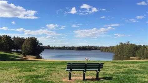 Three shark sightings in a month at Chipping Norton Lakes | News Local