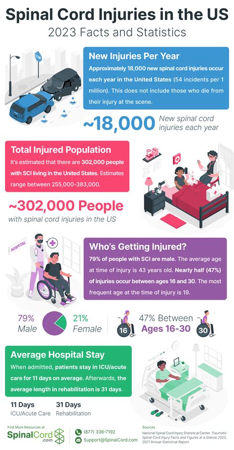 Spinal Cord Injury Infographics