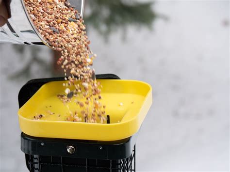 Brome SquirrelSolution 200 Bird Feeder Review: Effective