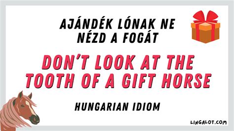 85+ Hungarian Quotes, Sayings & Proverbs + Their Meanings - Lingalot