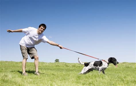 10 Simple Steps to Master Dog Leash Training