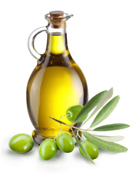 Free Olive Oil Cliparts, Download Free Olive Oil Cliparts png images, Free ClipArts on Clipart ...