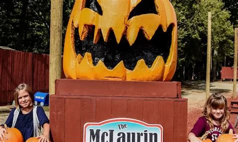 Pumpkin Patch - Mclaurin Farms