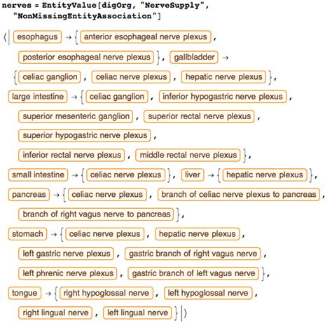 Dissecting the New Anatomy Content in the Wolfram Language—Wolfram Blog