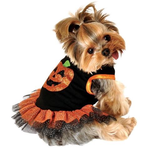 Pumpkin Dog Tutu Dress | Dog clothes, Dog tutu dress, Dog tutu