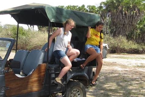 Tanzania Safari Spotters - Iringa | Tripadvisor