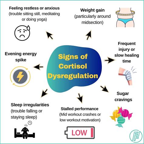 what-causes-inflammation-in-the-body-Signs-of-Cortisol-Dysregulation-1 ...