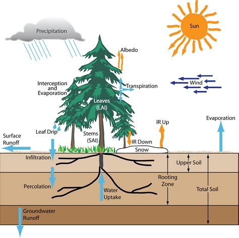 Energy and Water Balance Background – Regional and Global Climate