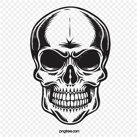 Skull Front Vector Hd Images, Black Skull Front Image, Skull Drawing, Skull Sketch, Skull ...