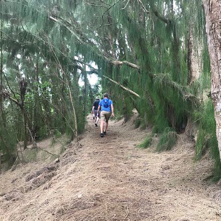 Hauula Loop Trail - All You Need to Know BEFORE You Go - Updated 2019 (HI) - TripAdvisor