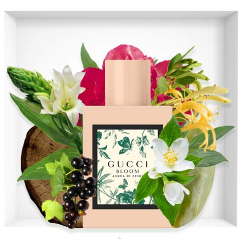 New fragrance Gucci Bloom Acqua Di Fiori | Reastars Perfume and Beauty magazine