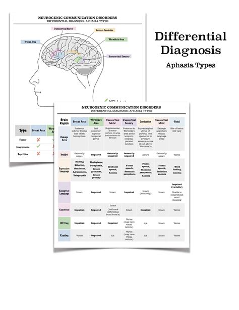 Printable Aphasia Therapy Worksheets - Printable Word Searches