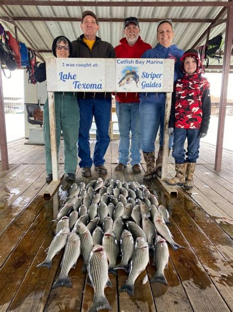 Lake Texoma - Striped Bass Action at Lake Texoma