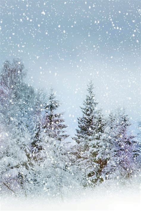 Heavy Snowfall Wallpaper - 雪 地 下 雪 - 640x960 Wallpaper - teahub.io